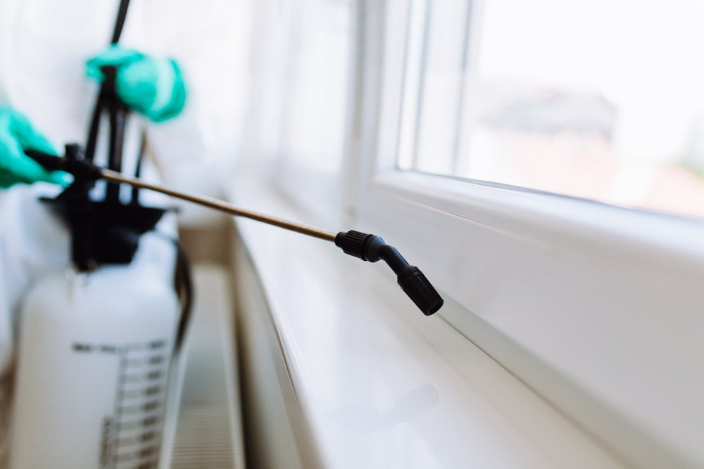 a bug spray helps control pest infestations on a windowsill