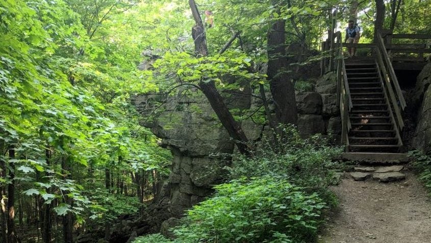 Stairs in Wisconsin forest 