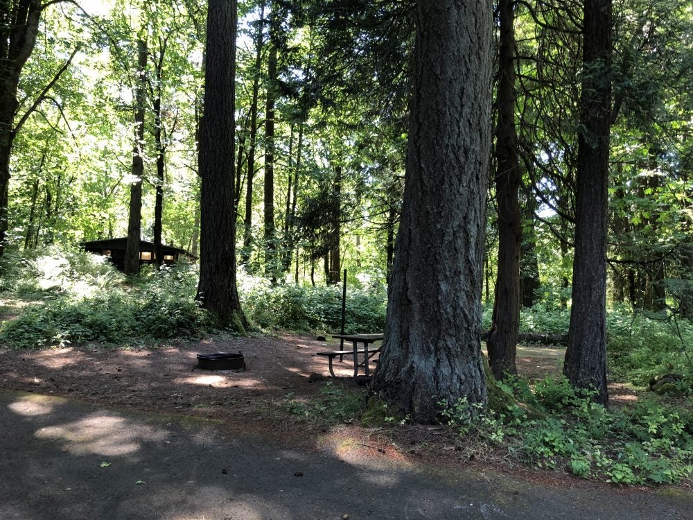 empty wooded campsite featuring fire ring and picnic table at chena wayside campground