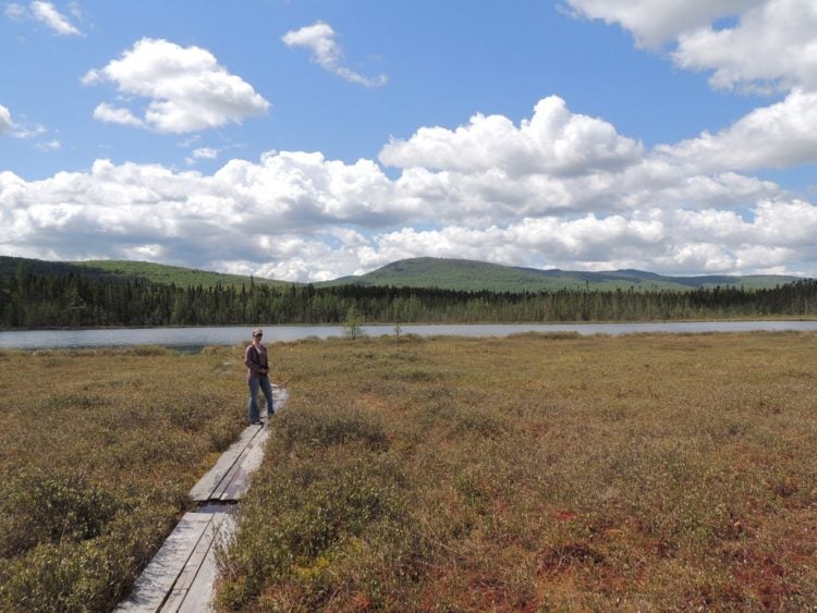 white clouds loom over marsh while a woman stands on a wooden walkway in the foreground