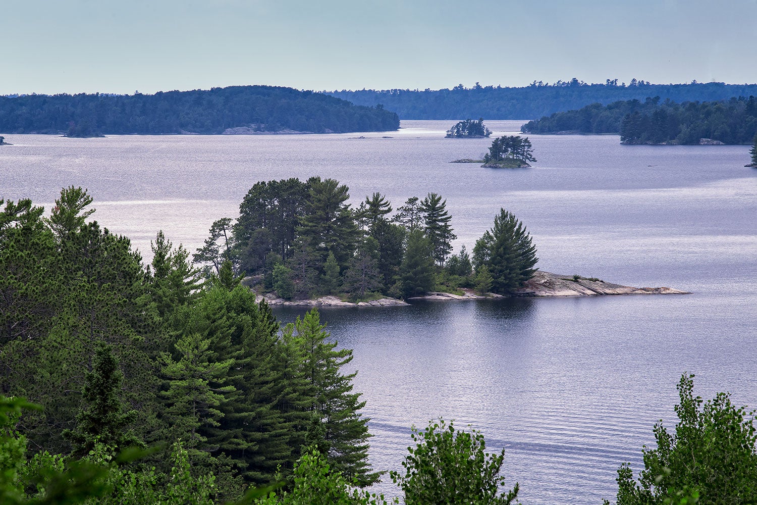 Island covered in trees in a lake.