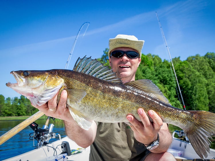 walleye fishing north dakota lake sakakawea