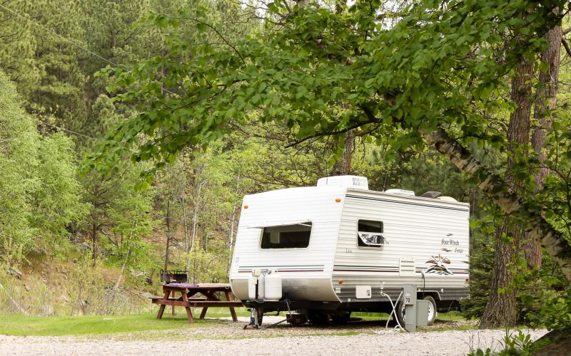 vintage trailer resides at empty, wooded campsite with picnic table visible