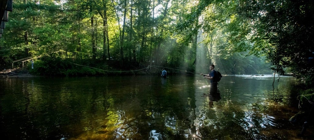 a fisherman at the davidson river campground casts his rod