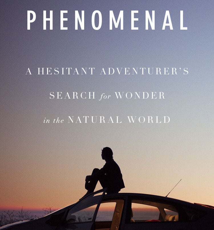 phenomenal book cover featuring silhouette of person atop car at sunset