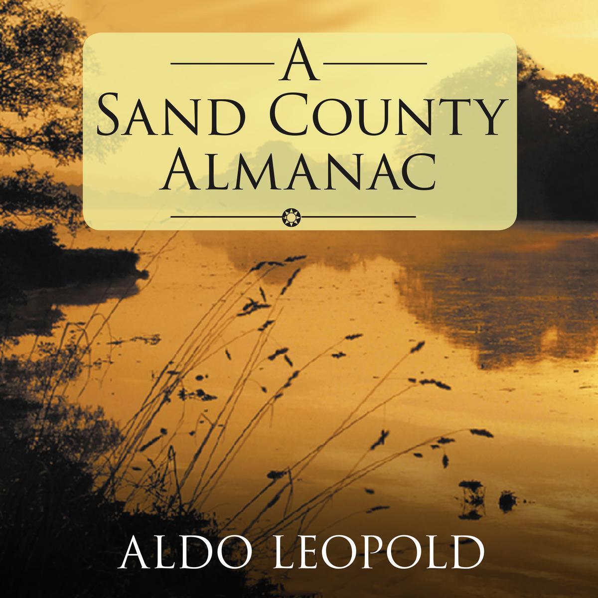 a sand almanac book cover featuring reeds at lake during sunset