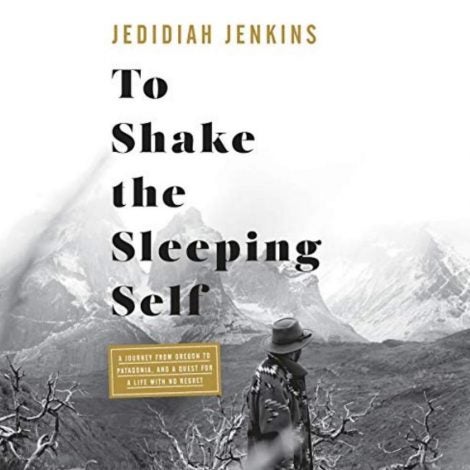 to shake the sleeping self book