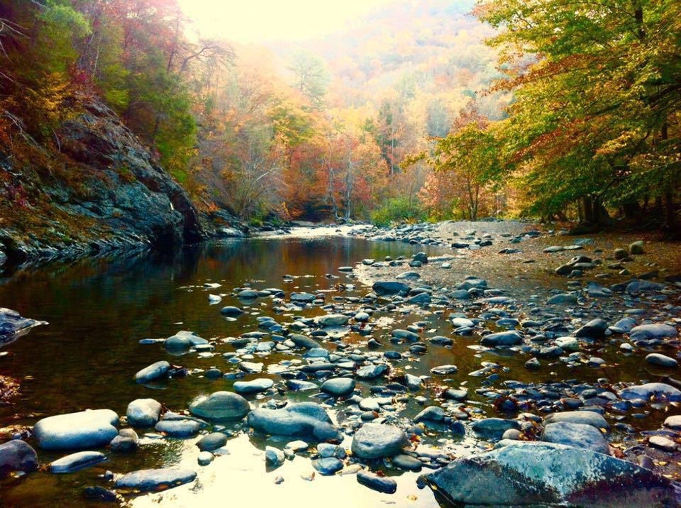 smooth rocks visible in calm river as fall foliage provides color to the great smoky mountains in the distance