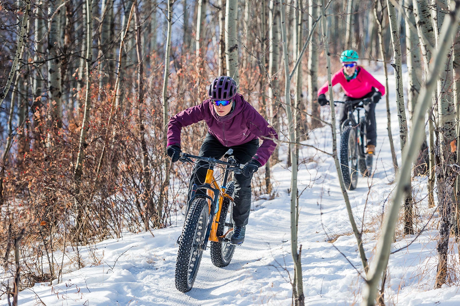 Two female cyclists hunched over their handle bars as they ride through trees on fat bikes in winter