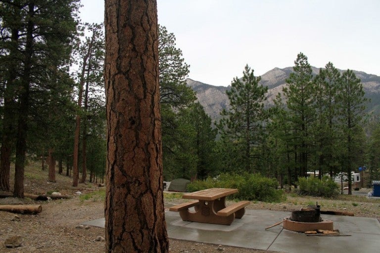 These 5 Campgrounds Near Las Vegas Are Camper Favorites