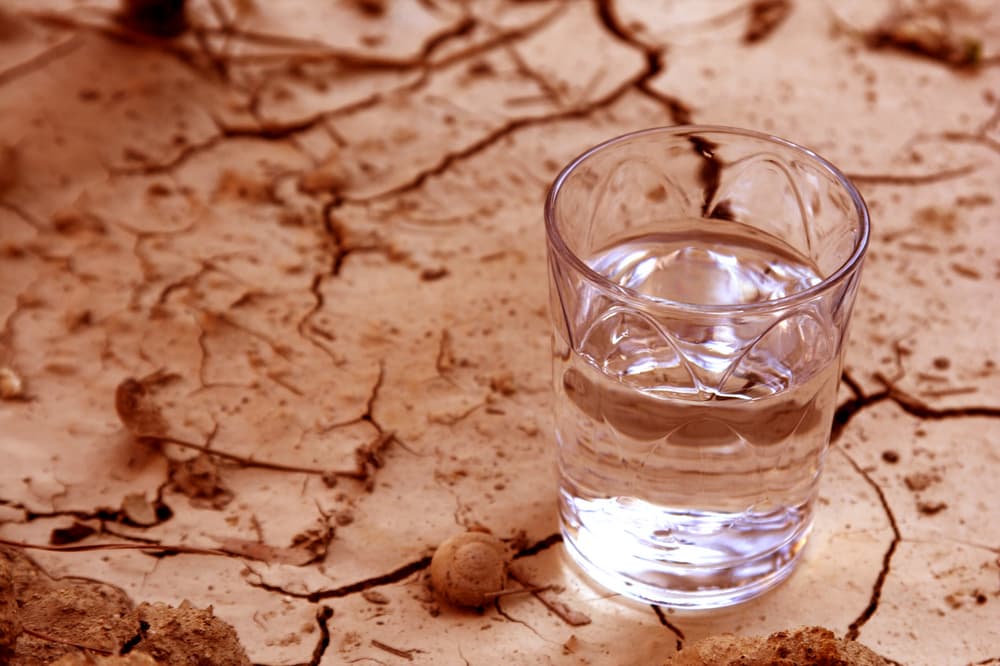 half full glass of water resting on cracked earth