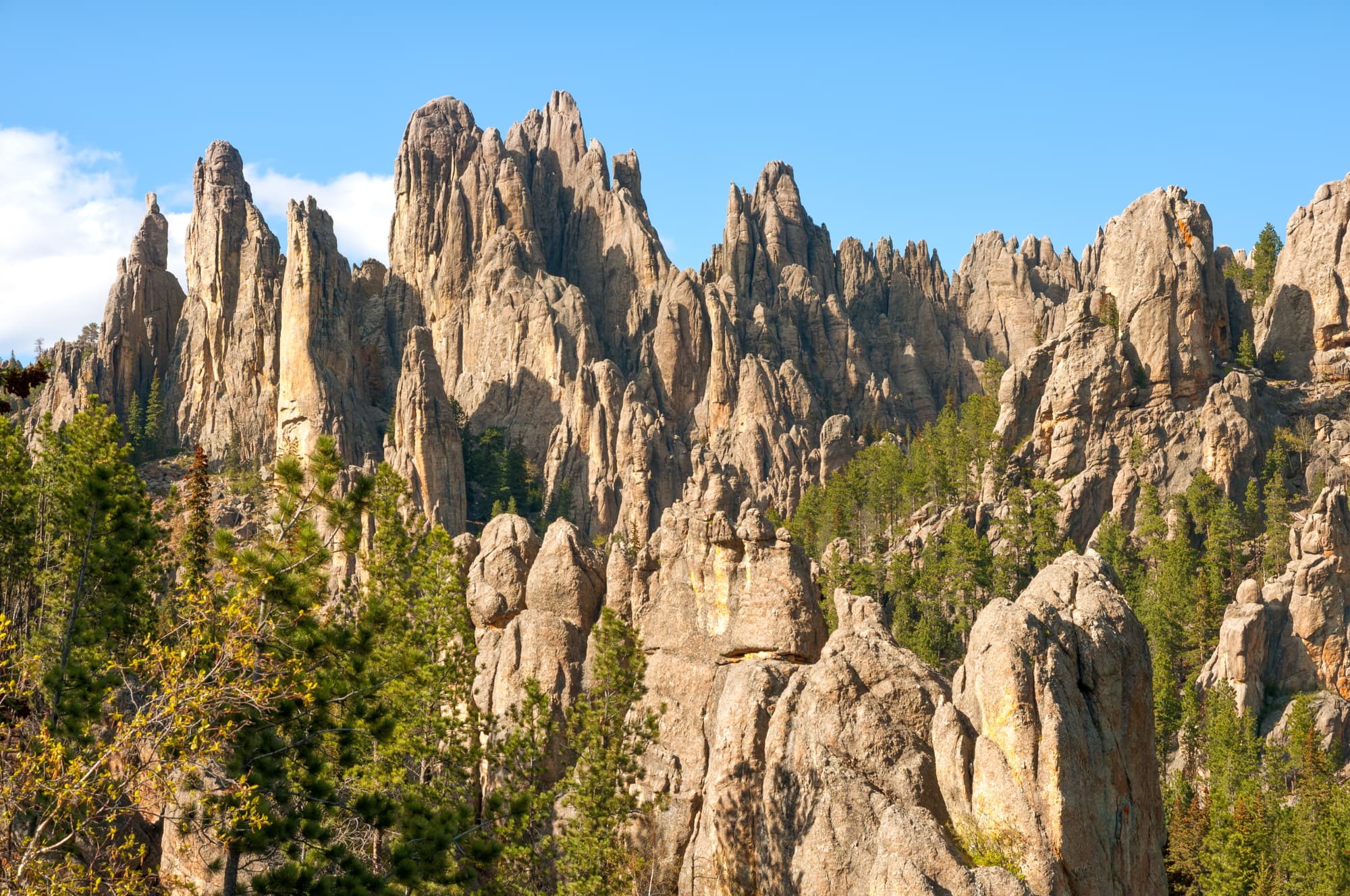 rock formations from the Black hills