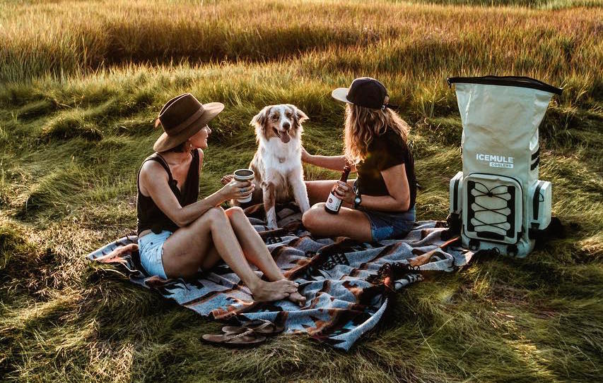 Two women with a dog enjoy a picnic during golden hour