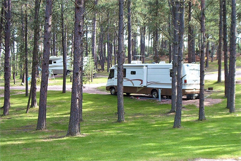 2 rvs parked among pine trees at campsites near mount rushmore