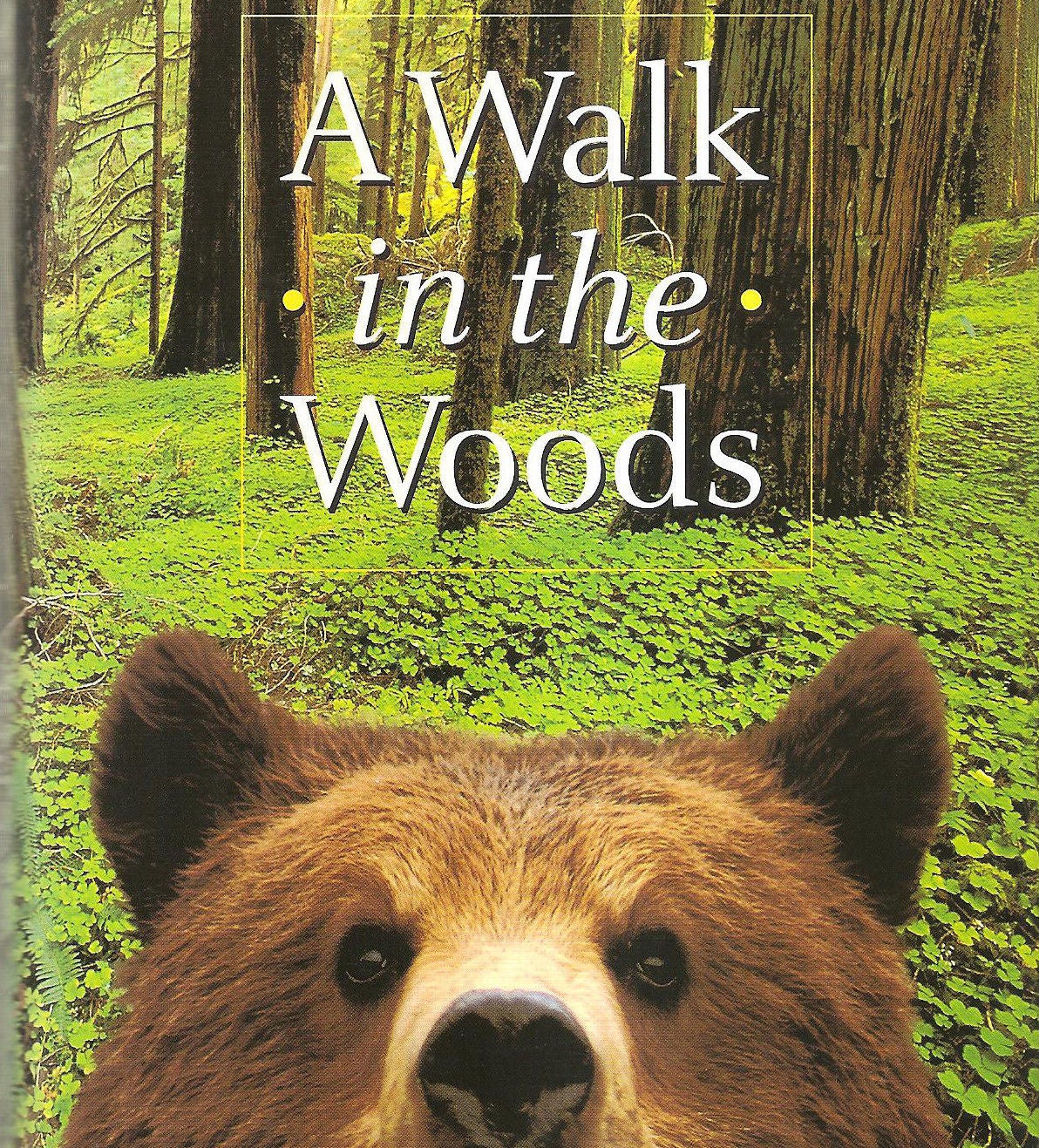 a walk in the woods book