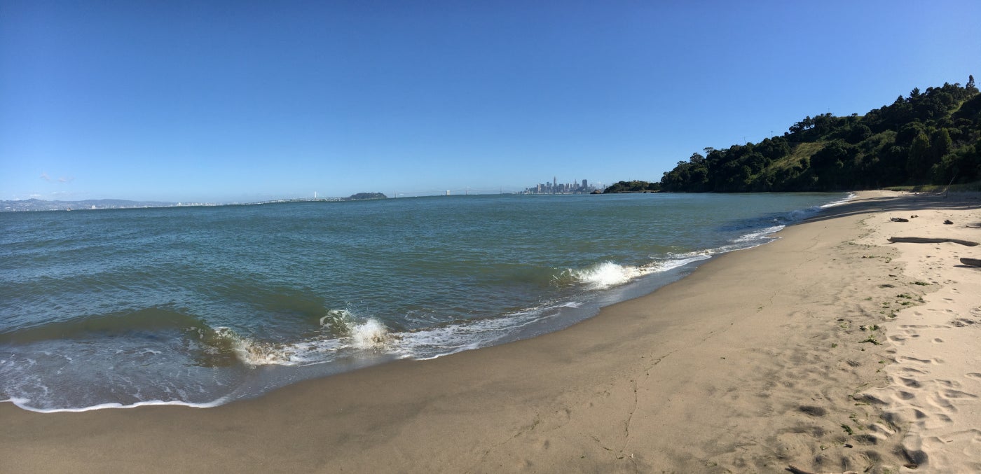 Kalifornisk strand med en fjern udsigt over San Franciscos centrum og Golden Gate Bridge i baggrunden