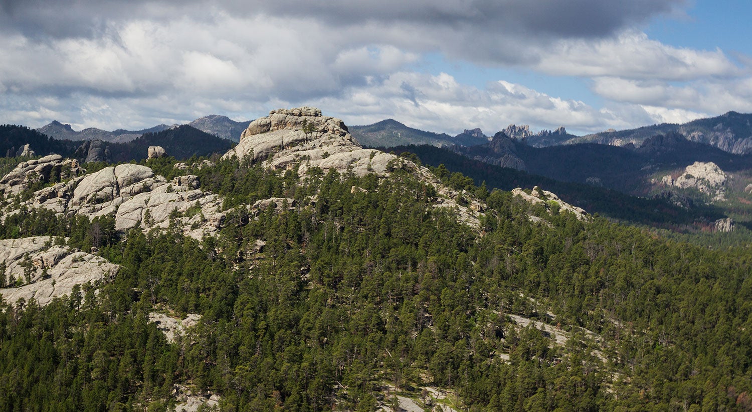 a rocky hill covered in trees in The Blacks Hills National Forest near Custer, South Dakota