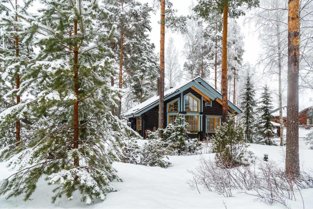 cabin in snow covered forest