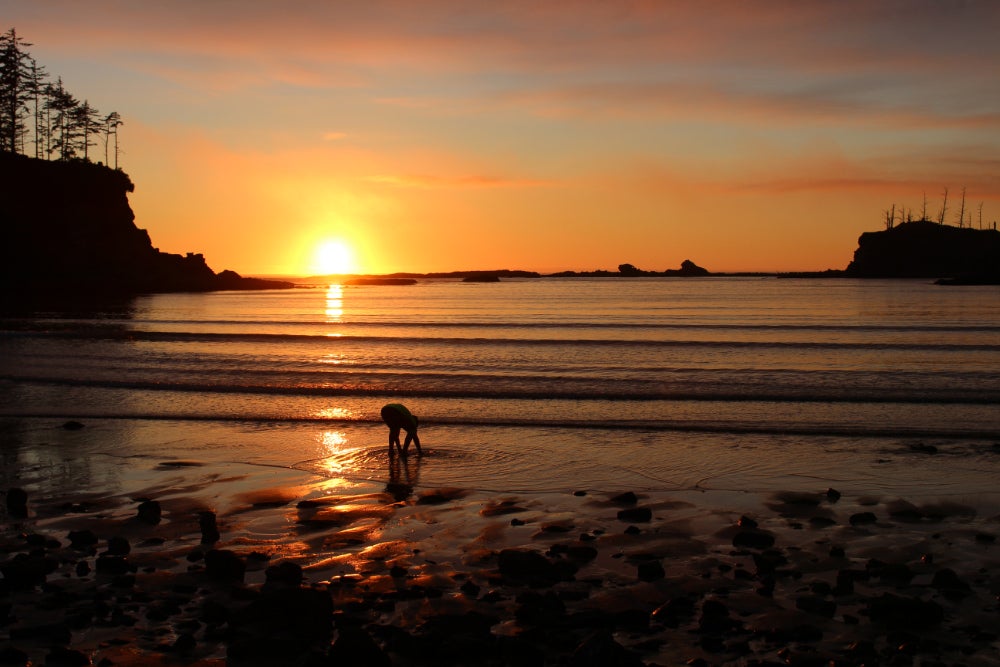 silhouette of person at sunset crouching on the beach to wet their hands in the water