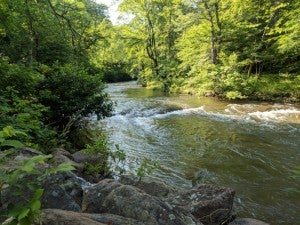 9 Shenandoah Valley Campgrounds Offering National Park-Worthy Views