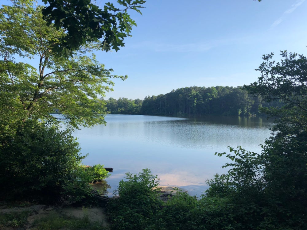 A blue lake with green forestry surrounding it on a sunny day