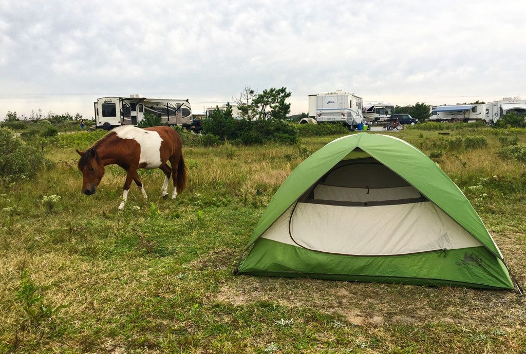 pony grazes beside green tent in a group camping field