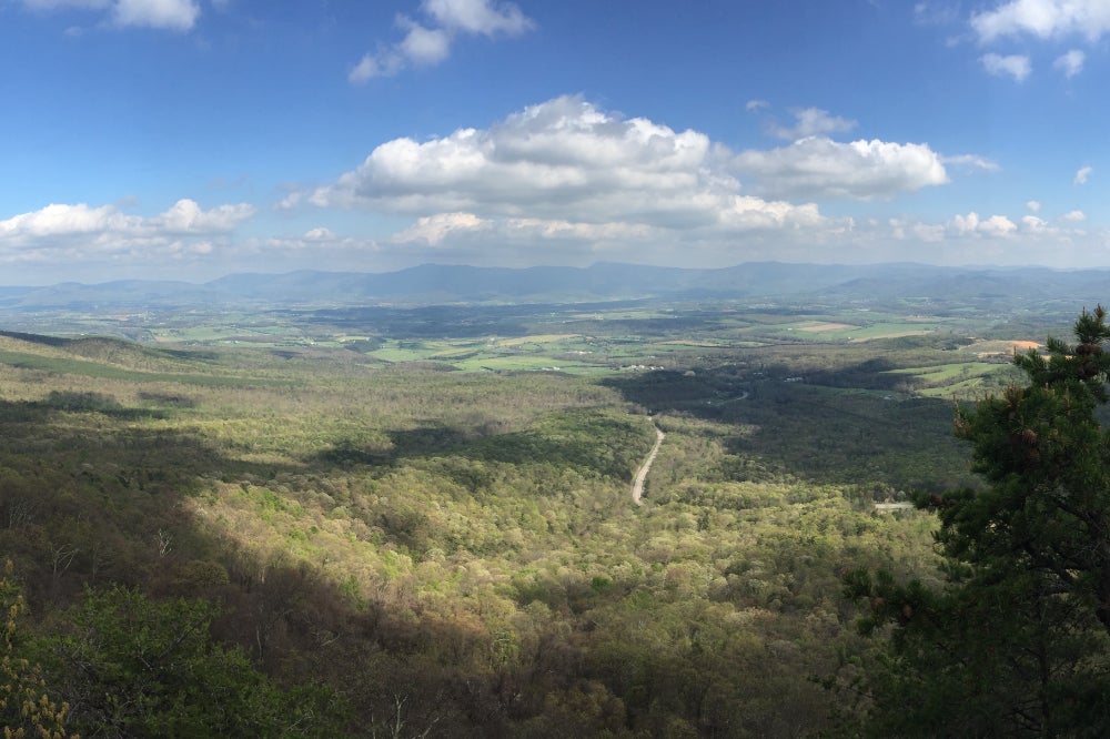 Panoramic view of the Shenandoah Valley from the top of a hill