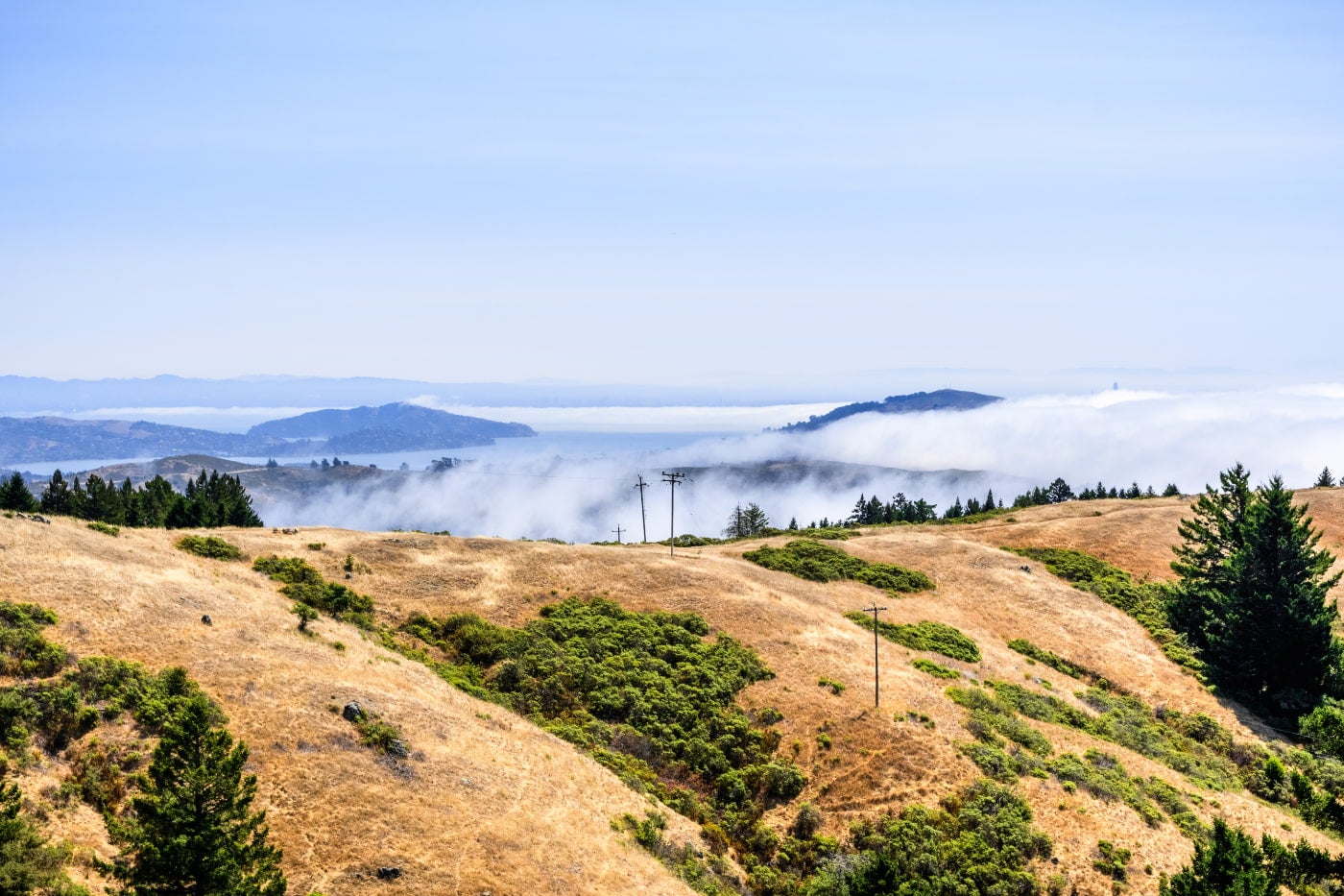 dry grassy hill in foreground with fog visible in background as it rolls over san francisco bay hills