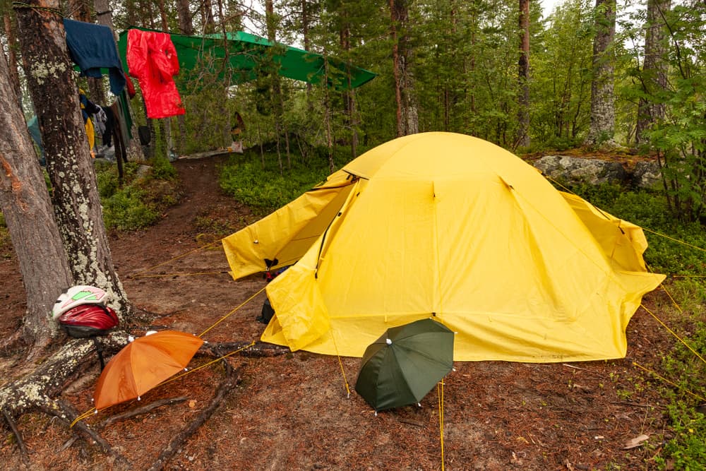 large yellow tent is staked to ground at wooded campsite surrounded by umbrellas and clothesline