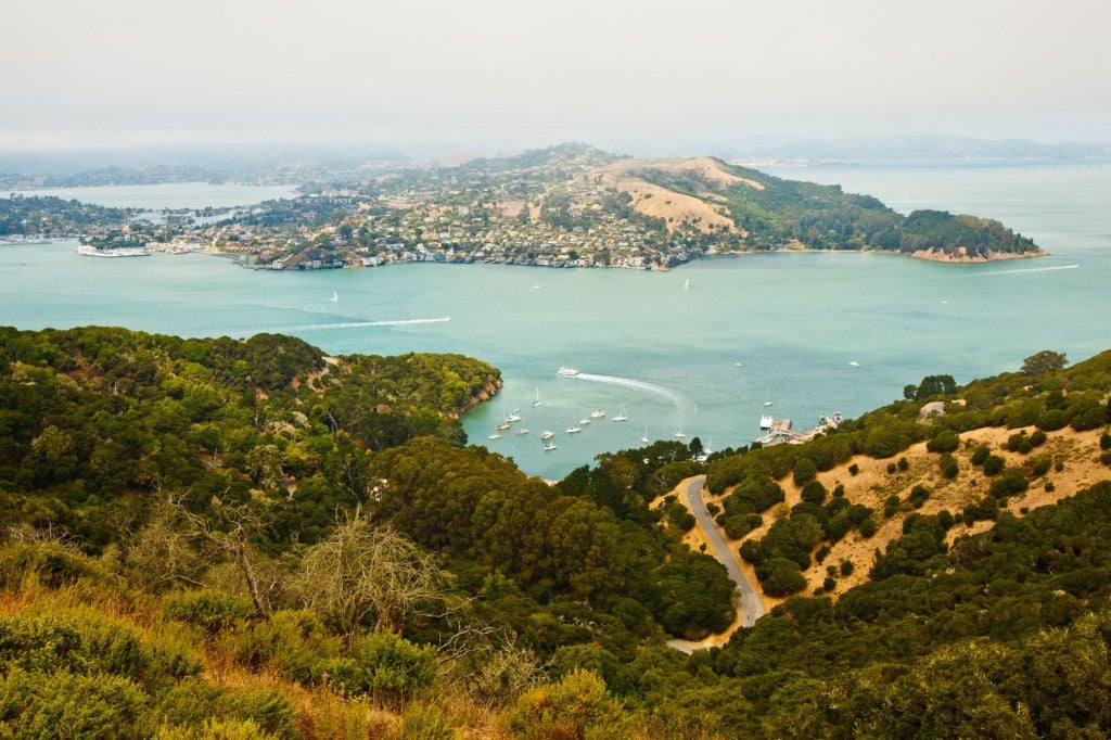a view of brush, rocks and a winding road on Angel Island overlooking the San Francisco Bay