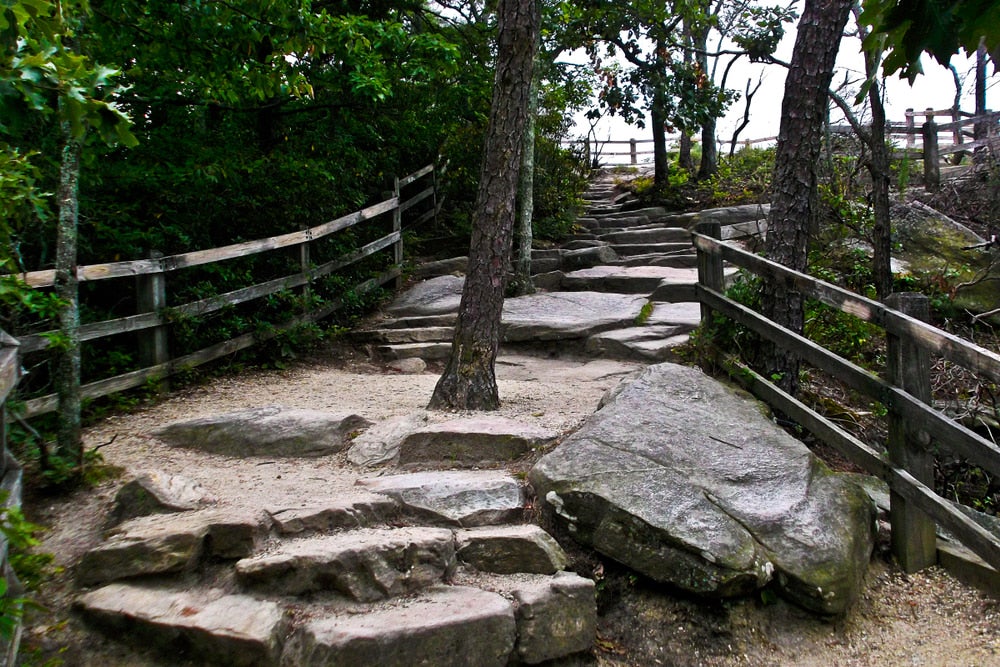 Stone path in Pilot Mountain State Park with trees in the middle of the path and several tress behind fences 