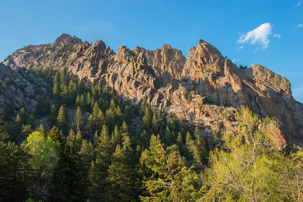 Jagged red and brown rocks above evergreen trees and summer foliage 