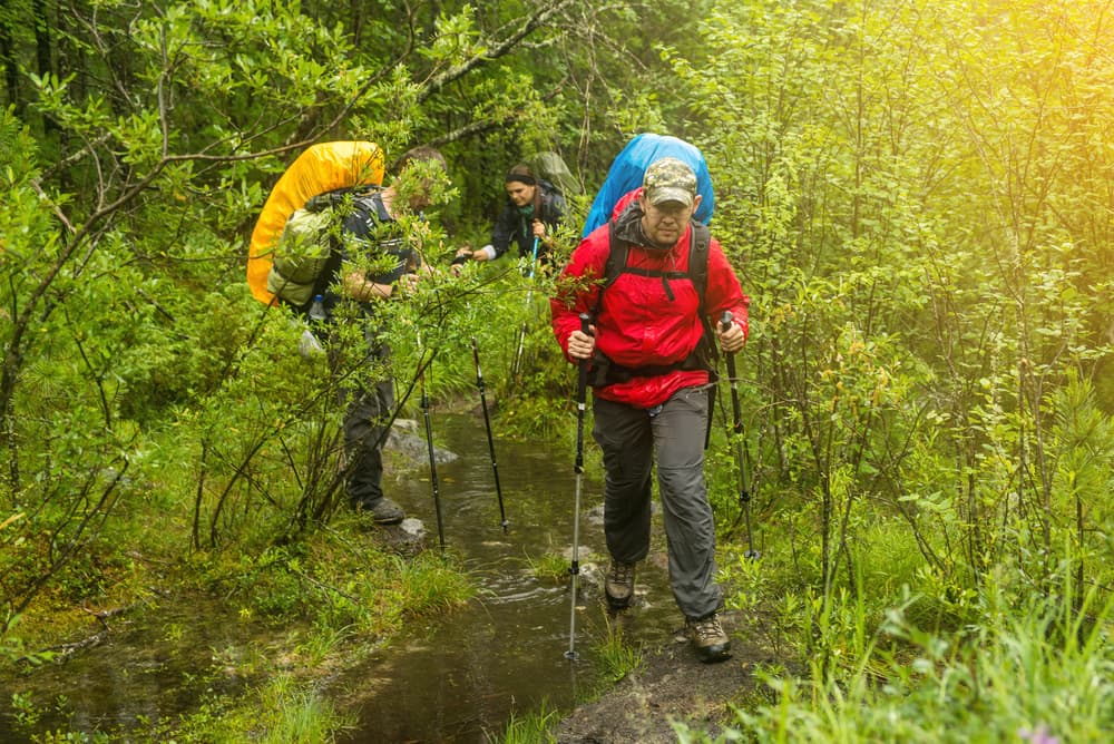 three brightly dressed backpackers hike through wet forest with rain gear in tow