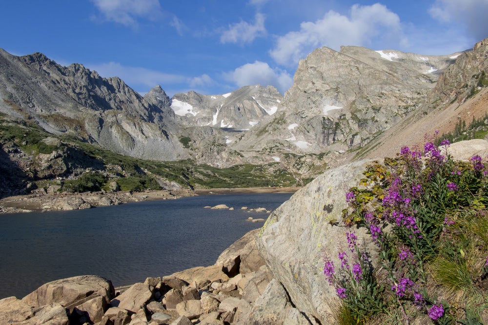 purple wildflowers grow on rocky mountainside near alpine lake 