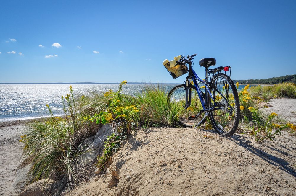 bike perched atop sand dune overlooking water in cape cod