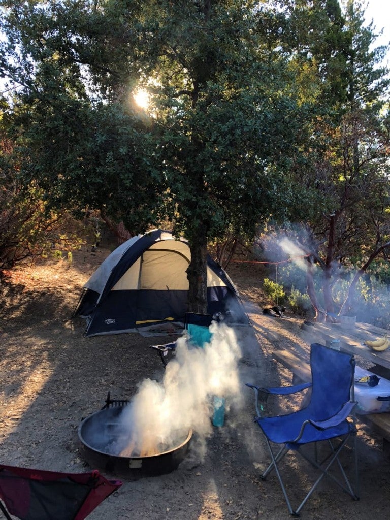 chairs surround a smoky campfire in campsite with picinic table, tent, trees, and dog leashed to a tree