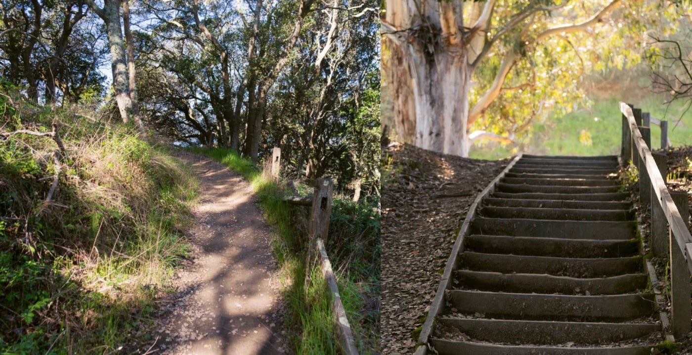 (po lewej): Wyerodowana ścieżka zakręca w lewo w suchym, zalesionym terenie (po prawej): Fall foliage surrounds a shaded wooden stairway