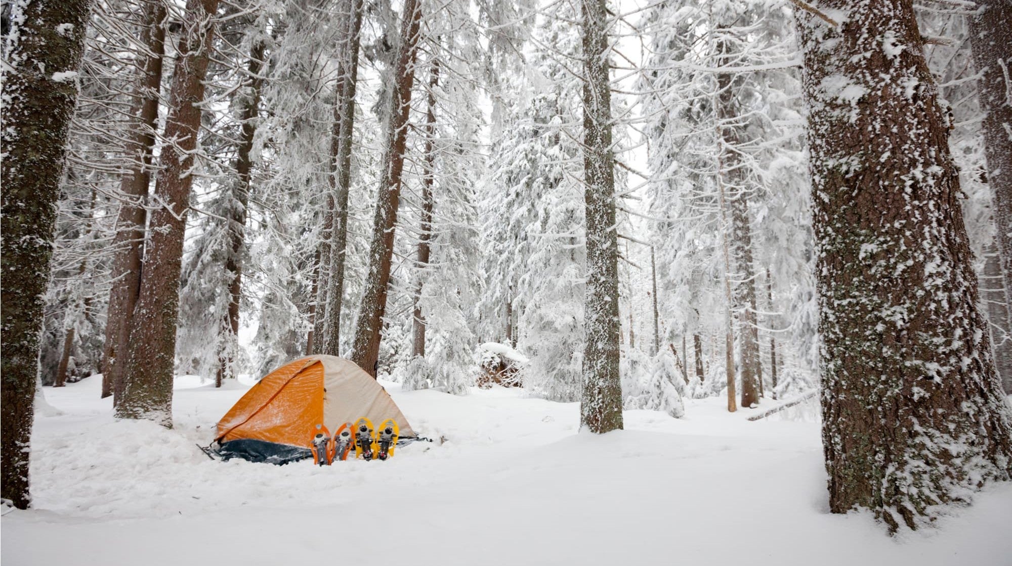 How To Plan The Best Wisconsin Winter Camping Trip