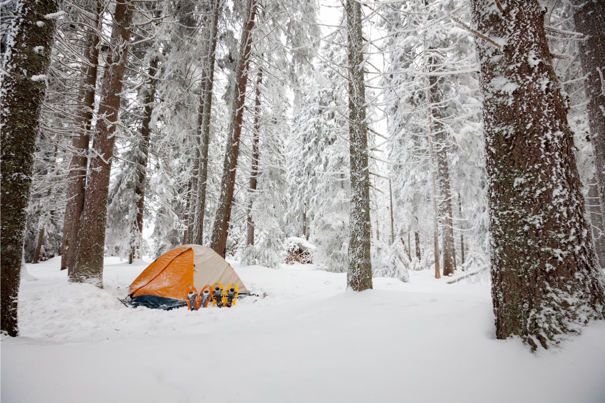 orange tent in snowy winter forest