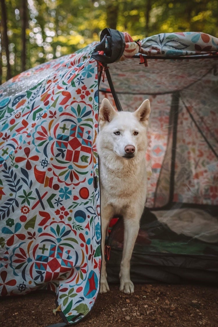Large white dog stands stoicaly at the edge of a colorful patterned tent in a forest.