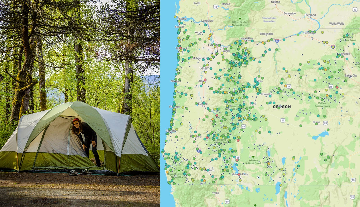 (left) green tent set up in large wooded campsite (right) campgrounds in oregon mapped on the dyrt
