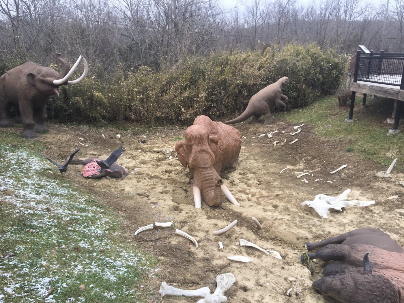 Fossil display at Big Bone Lick showing life size mammoths and buffalo decomposing into bones in a clearing where there is a little bit of snow on the ground.