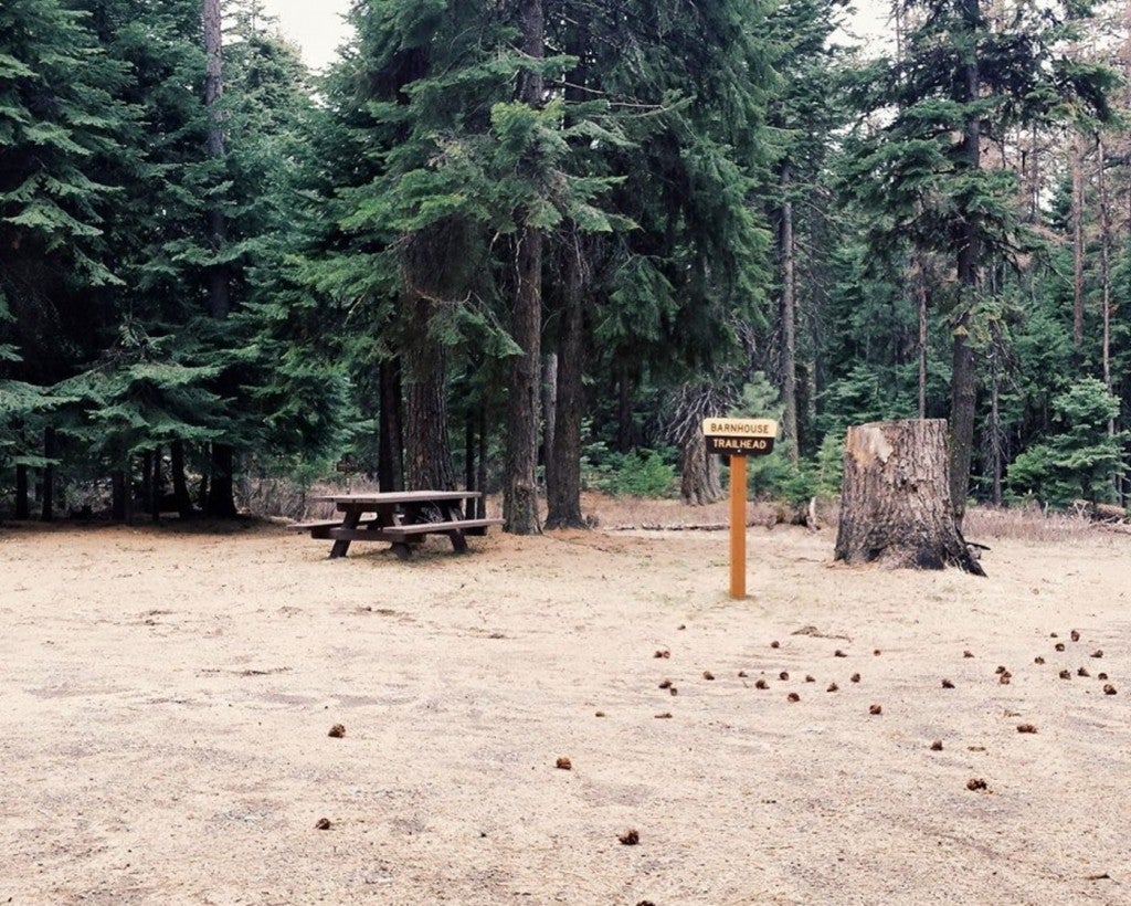 barnhouse trailhead marker visible beside wooden picnic table and large tree stump in oregon forest
