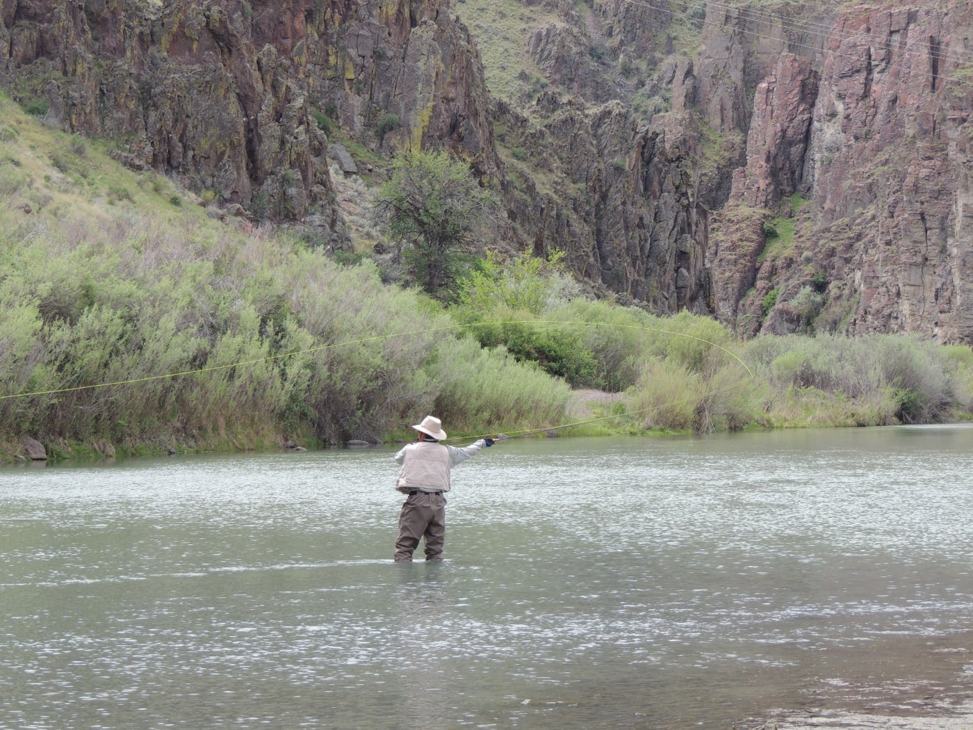 Man in a khaki hat and vest with green waders stands in a low river while fly fishing, behind him are green bushes and a large vertical rock face.