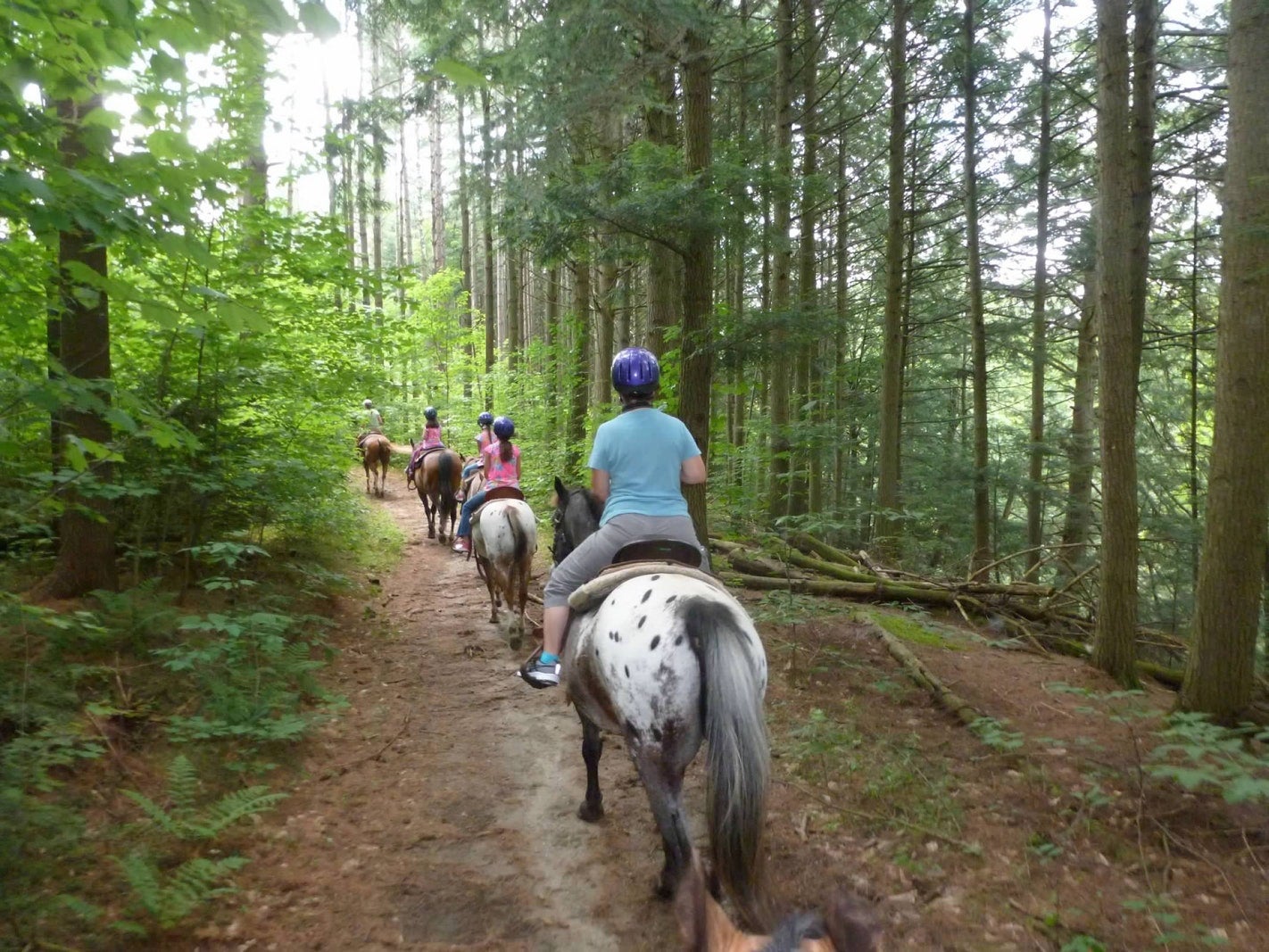four people ride horses on a riding trail in the forest of hanging rock state park