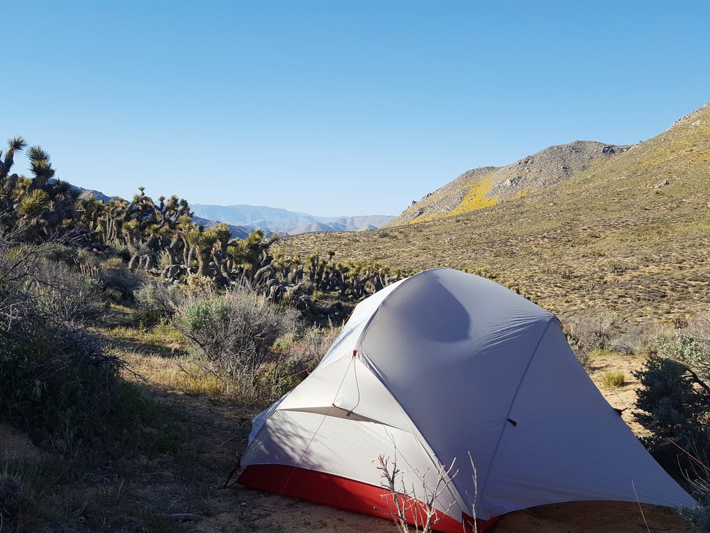 Grey and red tent setup in a desert landscape surrounded by cacti, brush, and rocky hills.