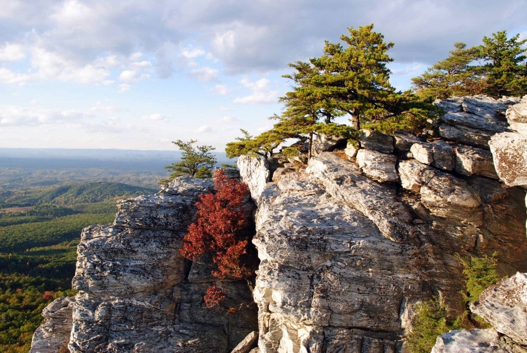 A cluster of trees on a stone cliff at Hanging Rock State Park, overlooking forested hills of North Carolina.