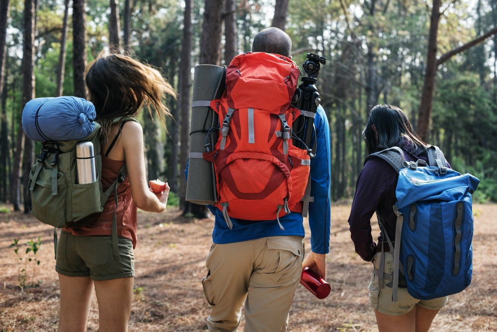 Three backpackers walking into the woods with gear and equipment strapped to their packs