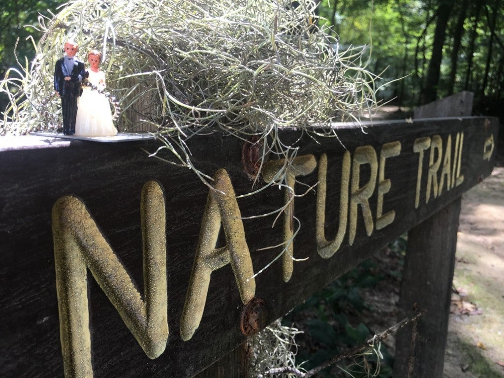 Close up of a 'married couple' figurine sitting next to moss on a wooden nature trail sign.