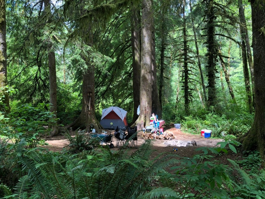 14+ Spots for Free Camping in Oregon and How to Find More